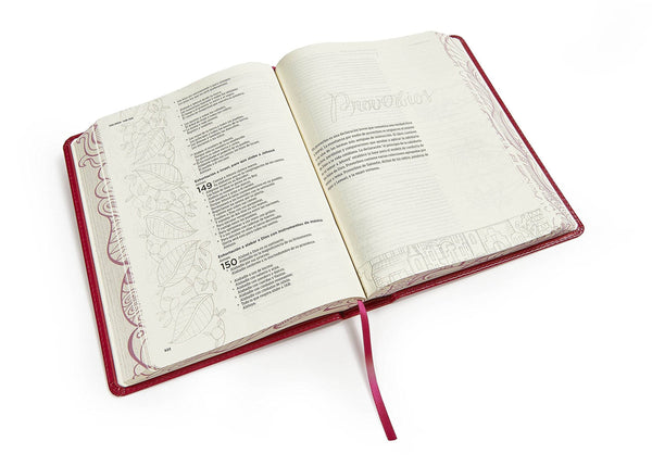 Spanish Journaling Bible - Illustrated Bible for Spanish speakers - RVR 1960 Biblia de apuntes, edición ilustrada, símil piel rosado - Adventacle